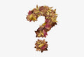 Autumn Gnome [blind pre-order]